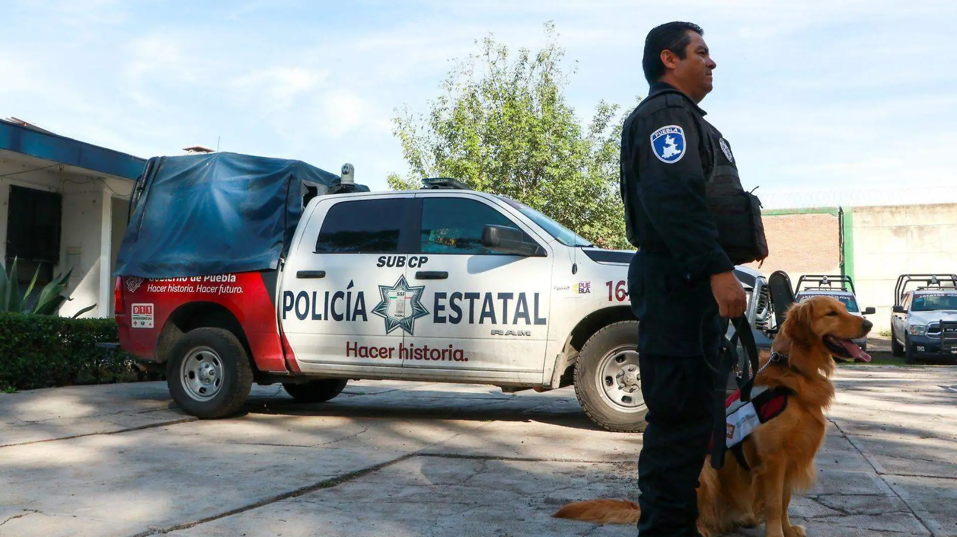 ¿Quién entrena a los perros policía?